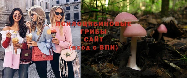герыч Алексин
