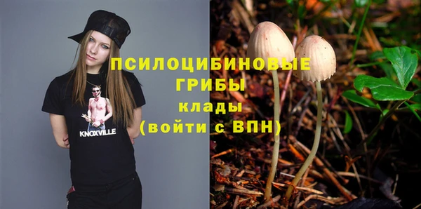 герыч Алексин