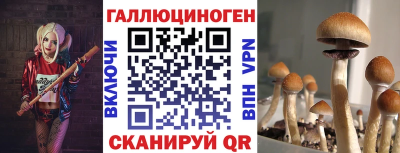 Псилоцибиновые грибы прущие грибы  где найти   МЕГА tor  Осинники 